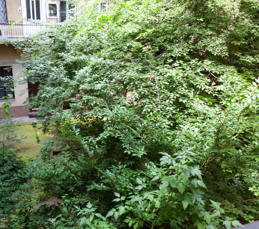 Appartement Happy Turtle